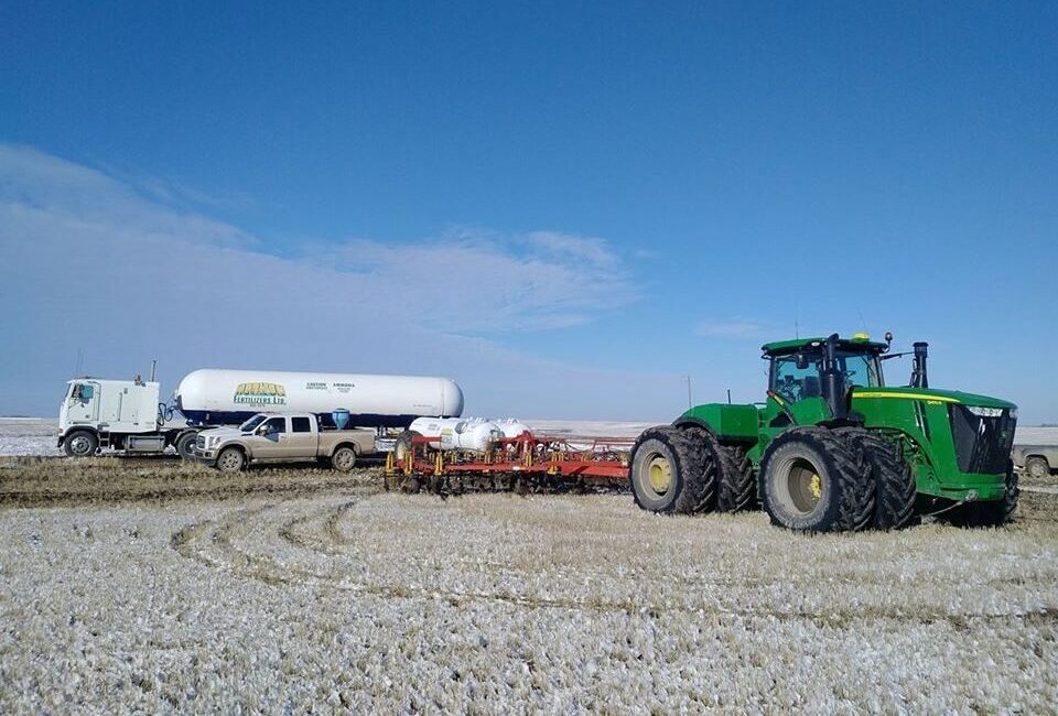 Pouring Canola