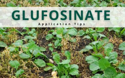 Get the Most Out of Your Glufosinate Applications